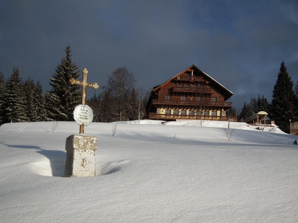 Hotel Alpska Vyhlidka Kvilda Zewnętrze zdjęcie