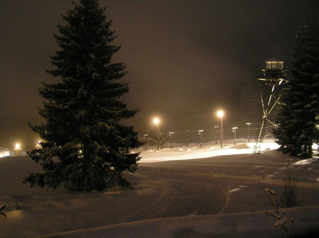 Hotel Alpska Vyhlidka Kvilda Zewnętrze zdjęcie