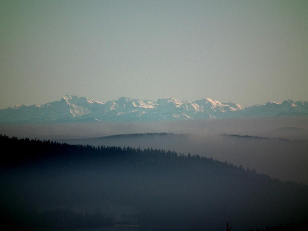 Hotel Alpska Vyhlidka Kvilda Zewnętrze zdjęcie