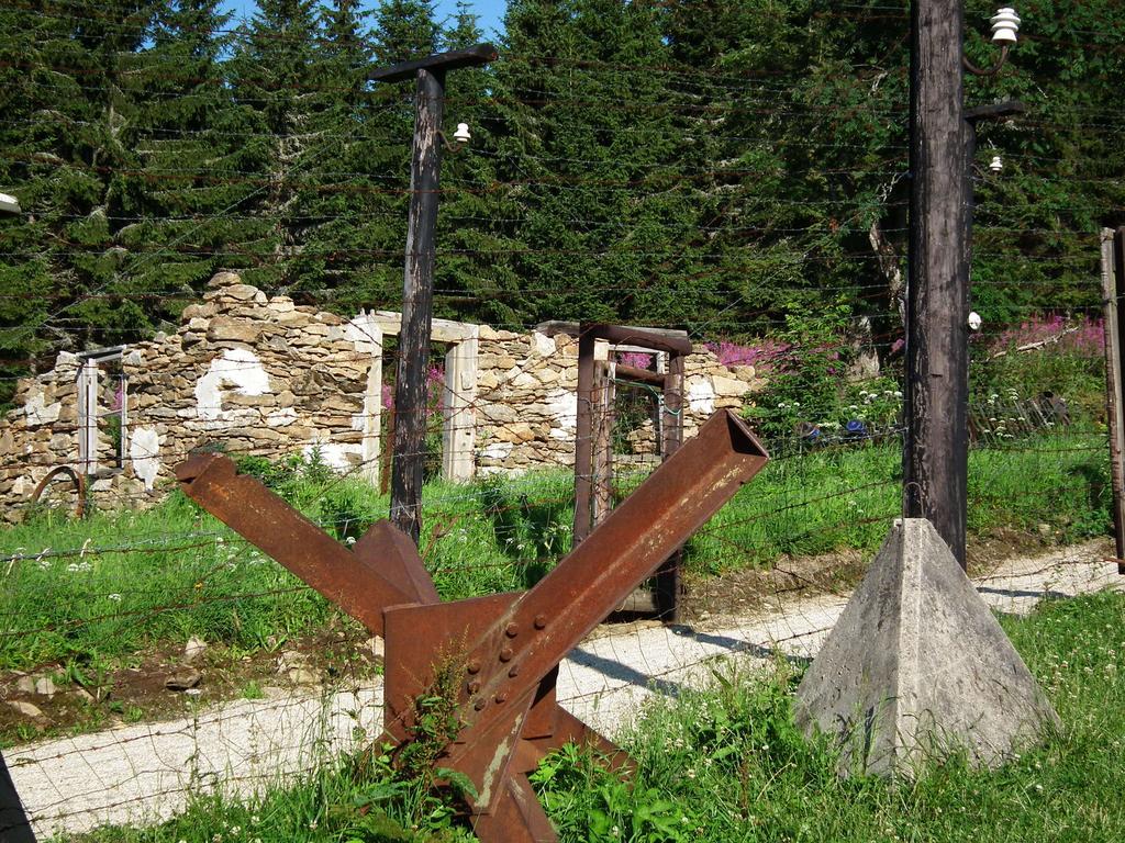 Hotel Alpska Vyhlidka Kvilda Zewnętrze zdjęcie