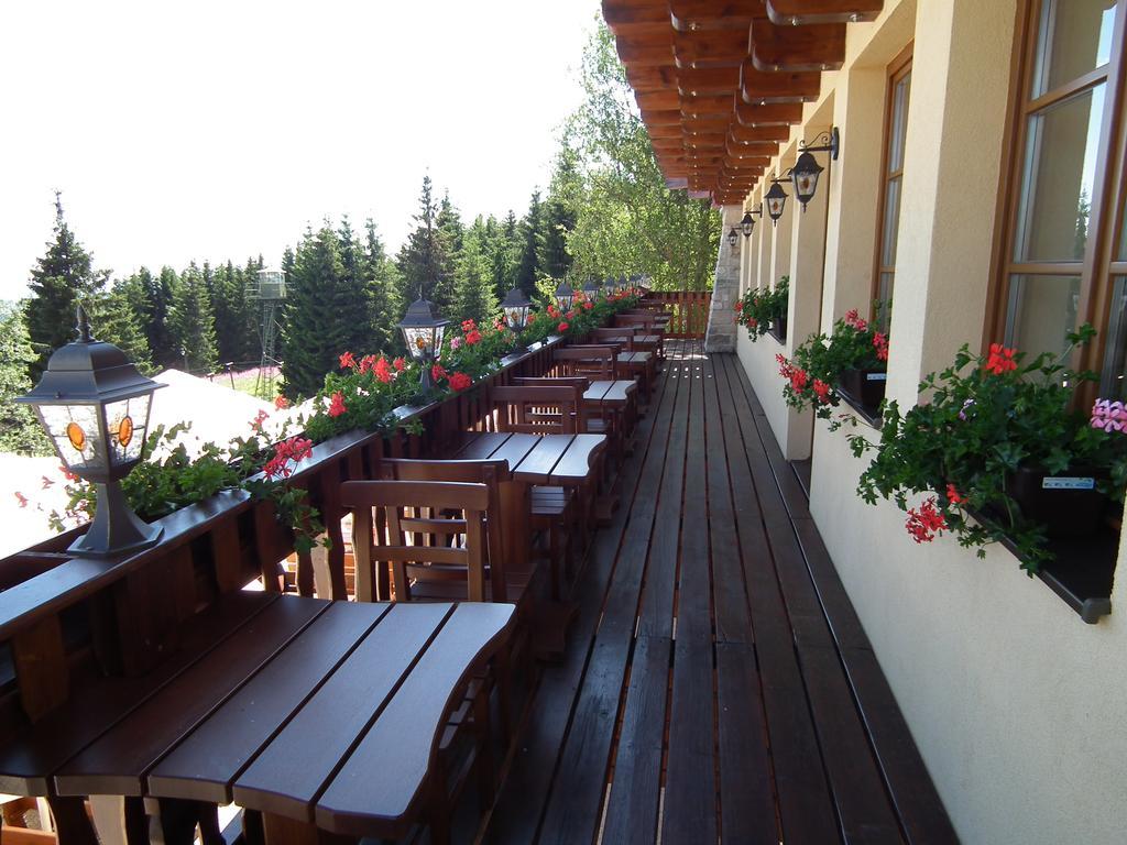 Hotel Alpska Vyhlidka Kvilda Zewnętrze zdjęcie